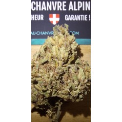 La French CBD