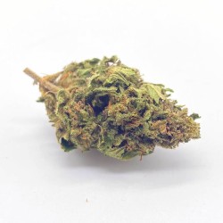 Auto Floraison