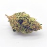 Auto Floraison